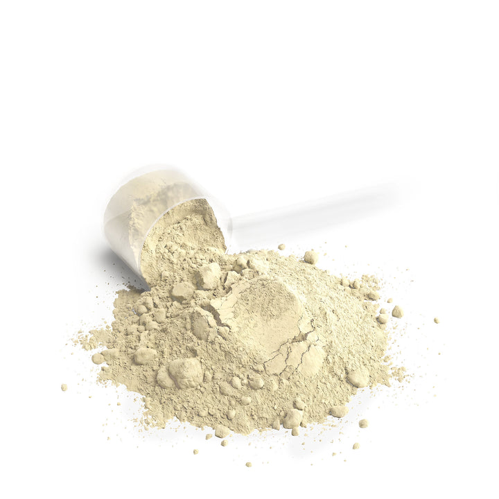 Performance Whey Protein Blend